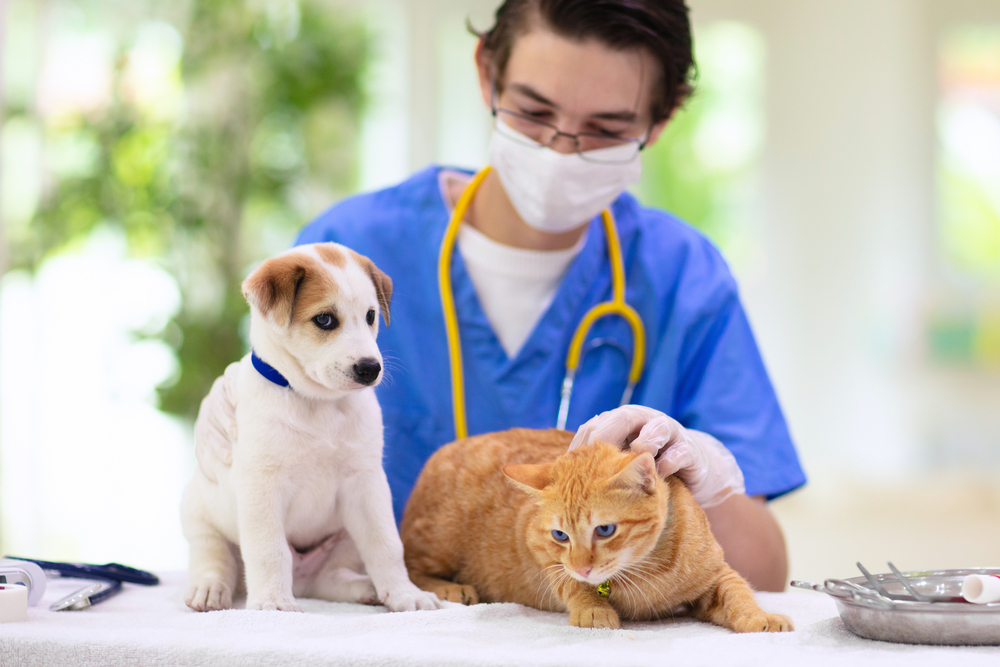 ペットの予防接種は絶対？義務と任意の違いについて